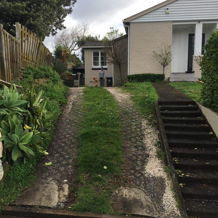 driveway - one tree hill